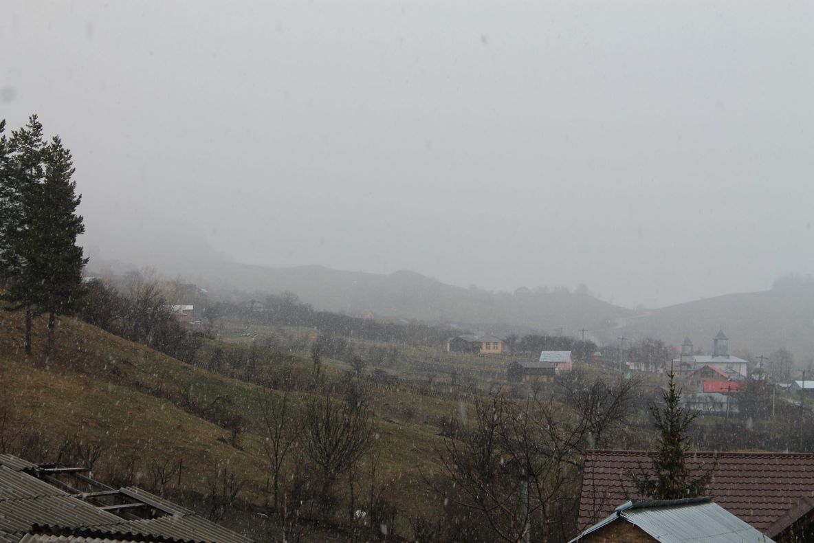 VIDEO Ninge la Vintileasca - Vrancea