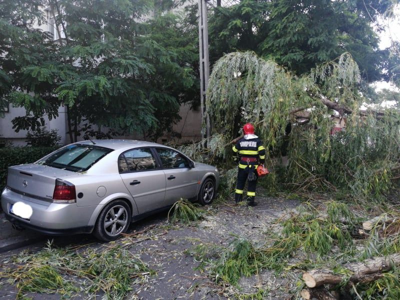 ULTIMA ORĂ Copac căzut peste două mașini în Focșani