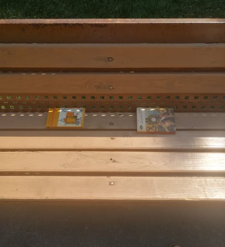 IMPRESIONANT Un bătrânel a pus câte o carte pe fiecare bancă din parcul Schuman din Focșani