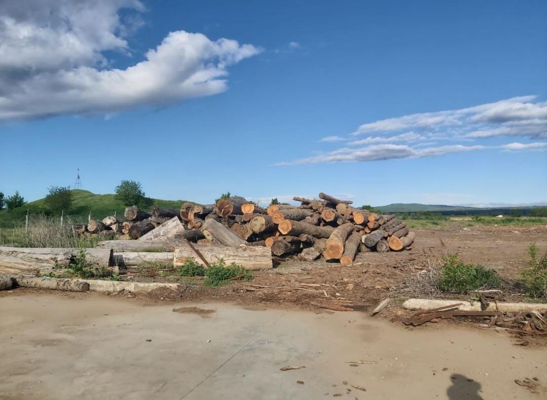 Descinderi la toporatorii din Vrancea - confiscări, amenzi și dosare penale în domeniul silvic