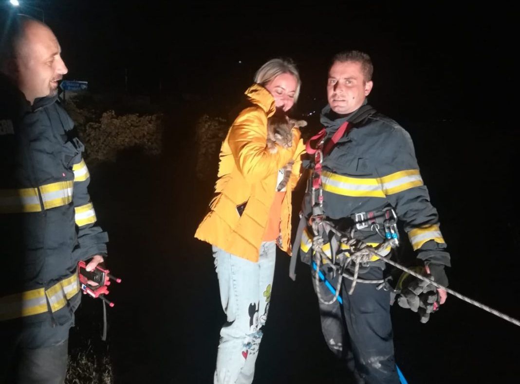 Pisicuță salvată din fântână de un pompier - alpinist