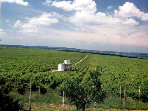 Vrancea nu contează în peisajul HORECA. Județul cu cele mai puține investiții în ospitalitate