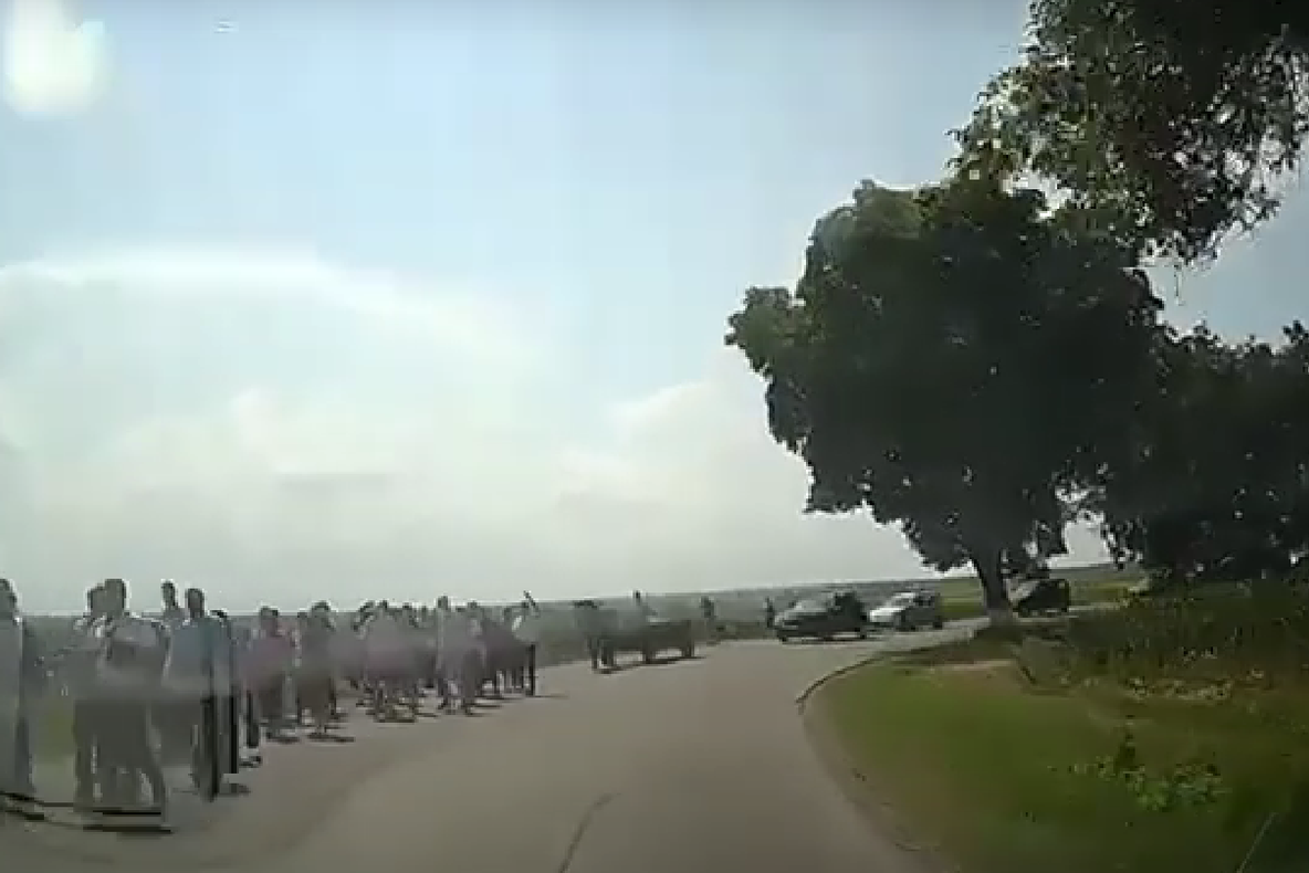 VIDEO Culturi stropite în Vrancea cu aghiasmă de sobor de preoți