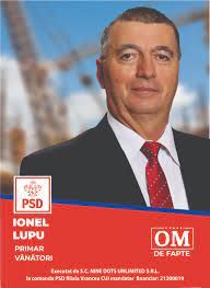 Primarul comunei Vînători - decizie definitivă de incompatibilitate - poate pierde mandatul și calitatea de membru PSD