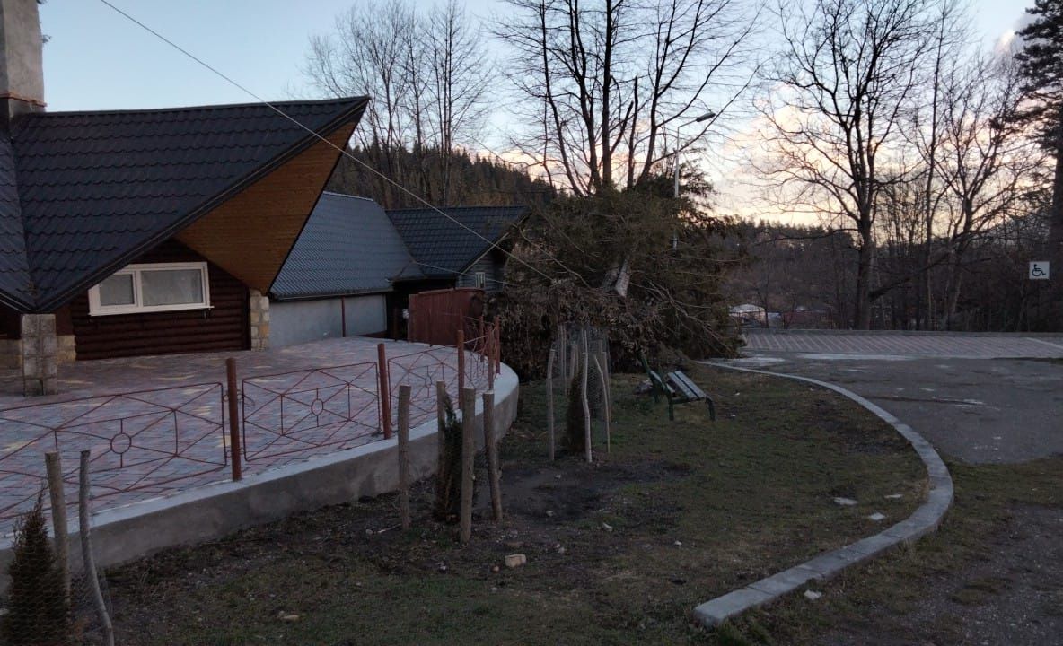 ULTIMA ORĂ Vântul puternic a doborât copaci și a smuls acoperișuri în comuna Soveja