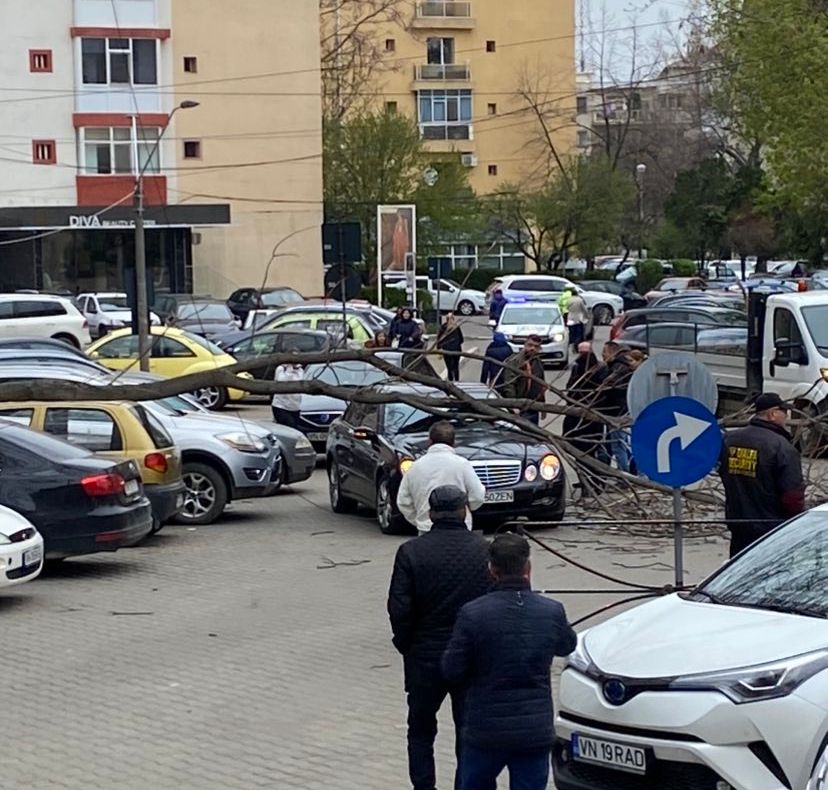 ULTIMA ORĂ Copac doborât de vânt peste mașini, în fața Primăriei