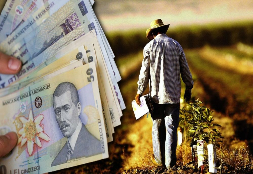 Ajutor de zeci de milioane de euro pentru anumite categorii de agricultori. Condițiile de acordare