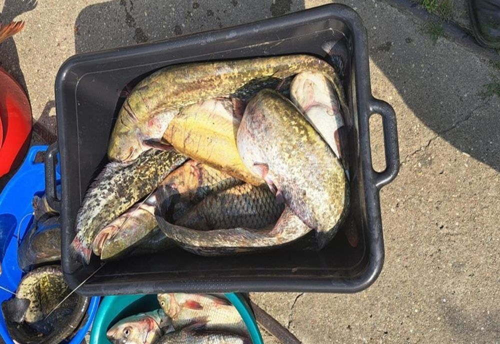 CONTROALE ASPRE ÎN ROMÂNIA