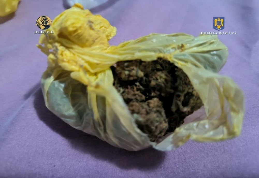 Percheziții domiciliare pe raza județelor Galați și Vrancea, în două cauze penale vizând săvârșirea infracțiunilor de trafic de droguri de mare risc