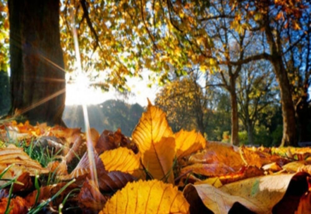 VREMEA 15 DECEMBRIE. ATMOSFERĂ ÎNSORITĂ ÎN SUD, NINSORI ÎN NORD ȘI LA MUNTE