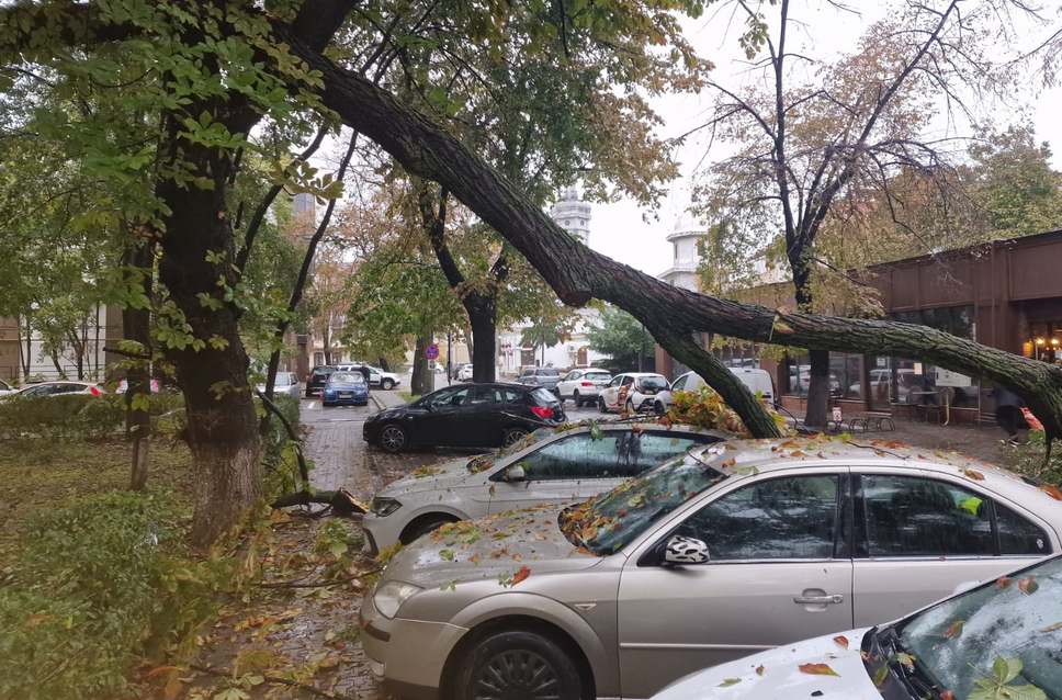 Probleme în lanț după ploile din Vrancea: arbori căzuți pe mașini, gospodării inundate și peste 1.100 de abonați fără curent electric