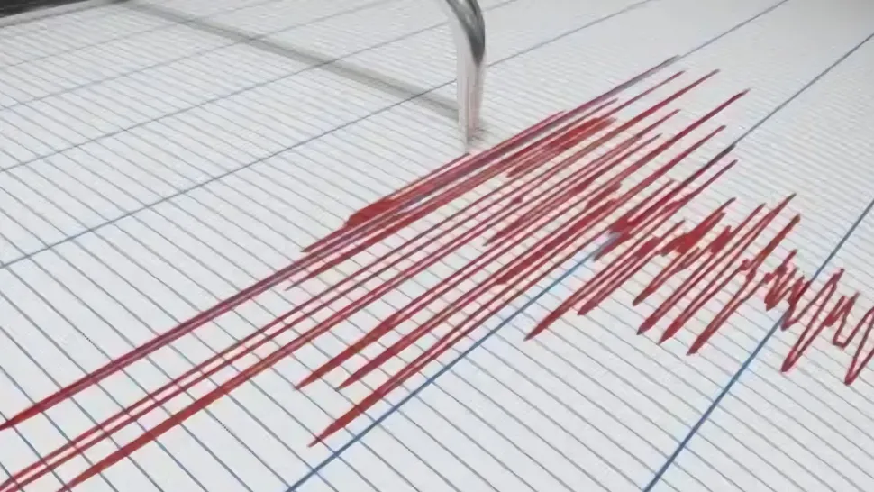 Două cutremure s-au produs într-o singură noapte în zona seismică Vrancea. Ce magnitudine au avut cele două seisme