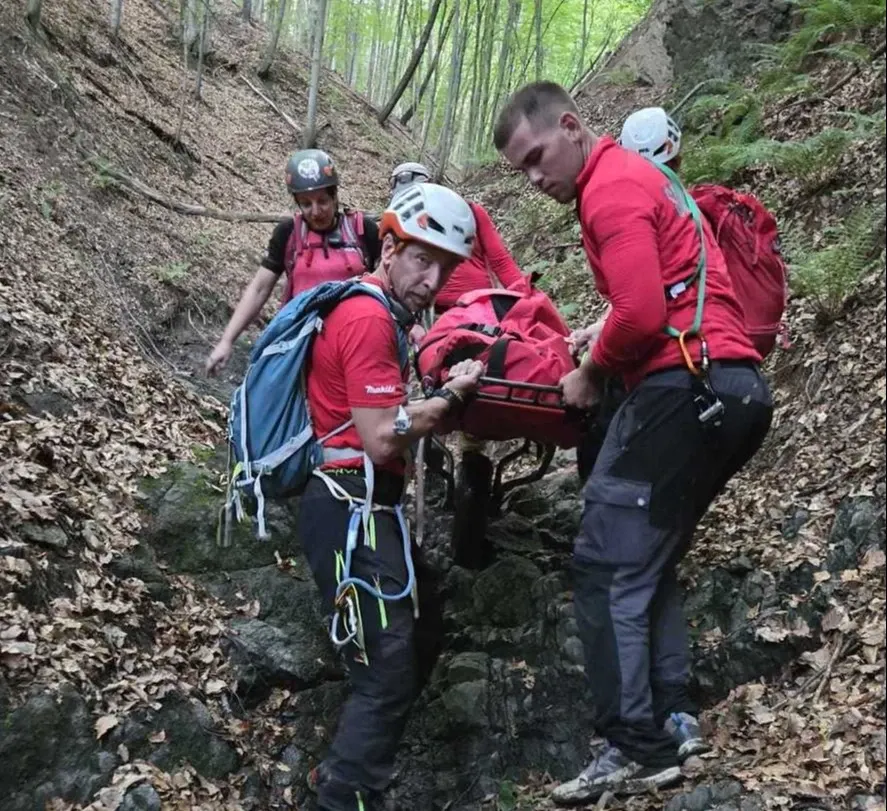 Intervenție Salvamont pentru o înțepătură de viespe: o femeie a avut probleme de respirație pe munte