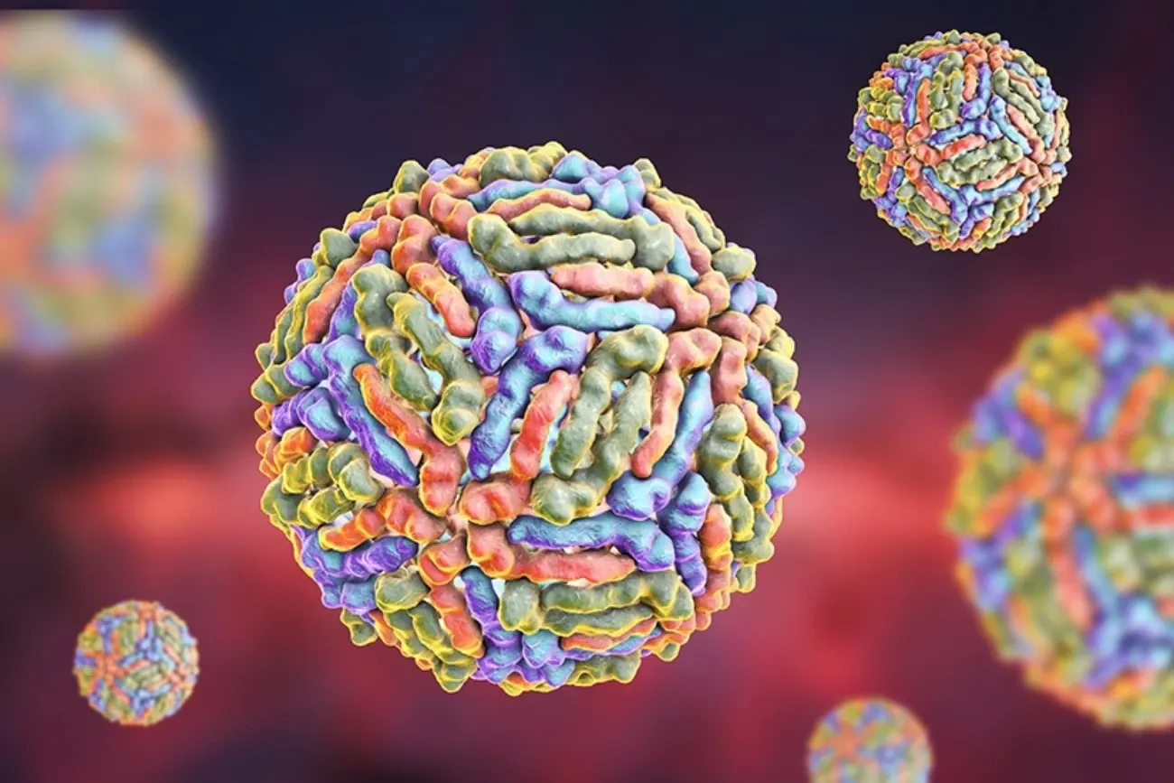 INSP: Un singur caz de infecție cu virusul West Nile, confirmat în județul Vrancea în 2026