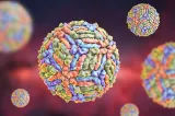 INSP: Un singur caz de infecție cu virusul West Nile, confirmat în județul Vrancea în 2026