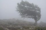 Cod galben de vânt puternic lovește România: rafale de până la 80 km/h și vreme de iarnă în plină primăvară