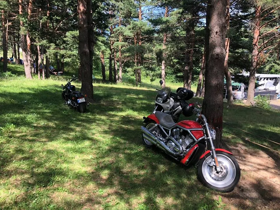 motociclete 1