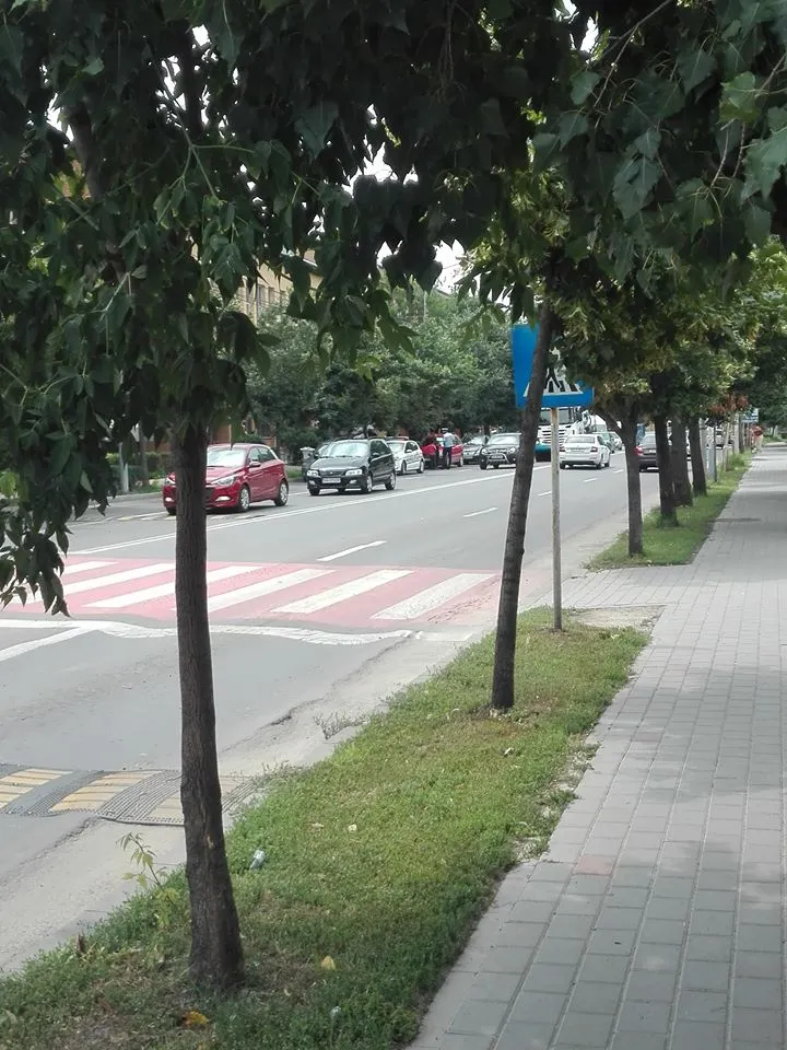 trafic politie amenzi