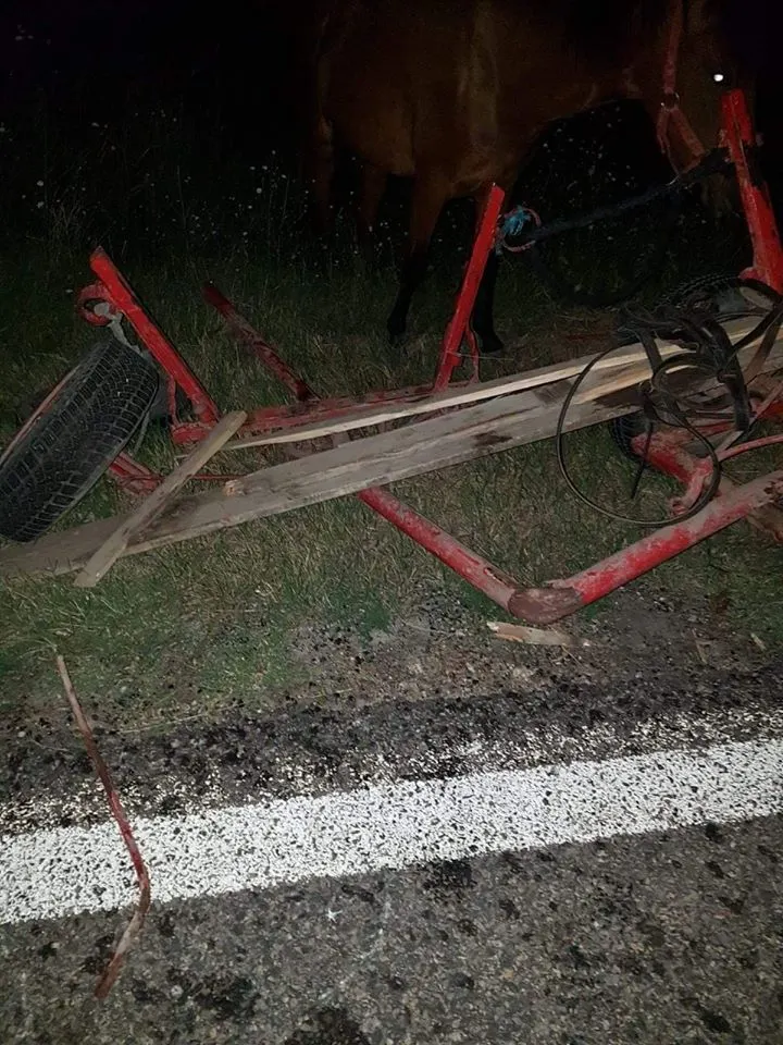 accident caruta 2