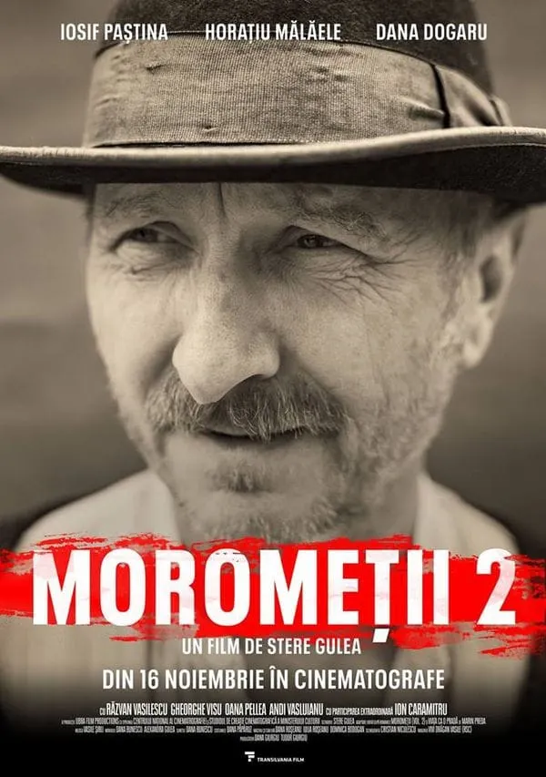 afis morometii