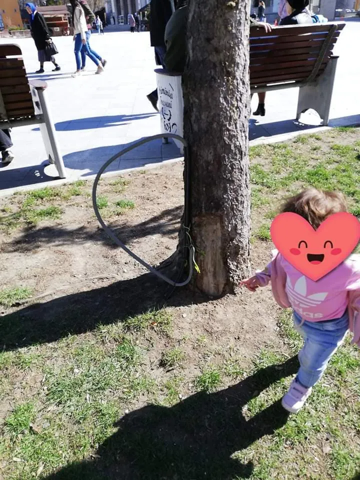copii pericol parc