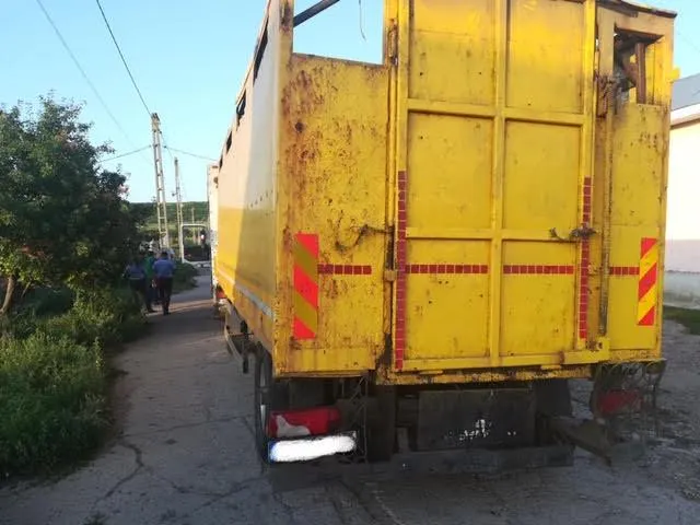 transport animale