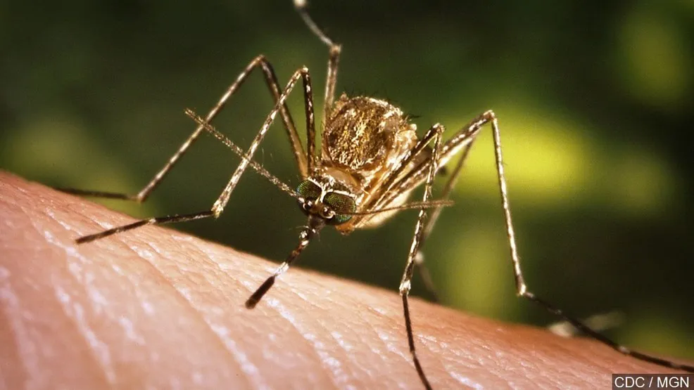 west nile