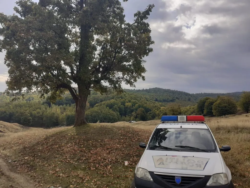 politie cautari