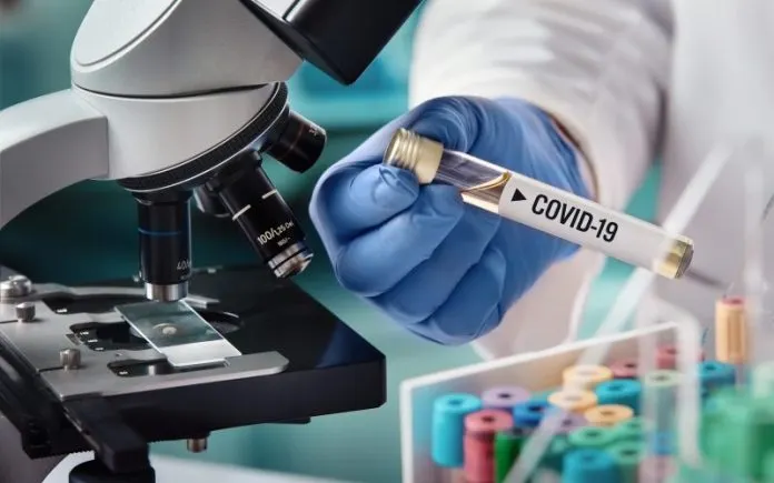 coronavirus-2-696x435