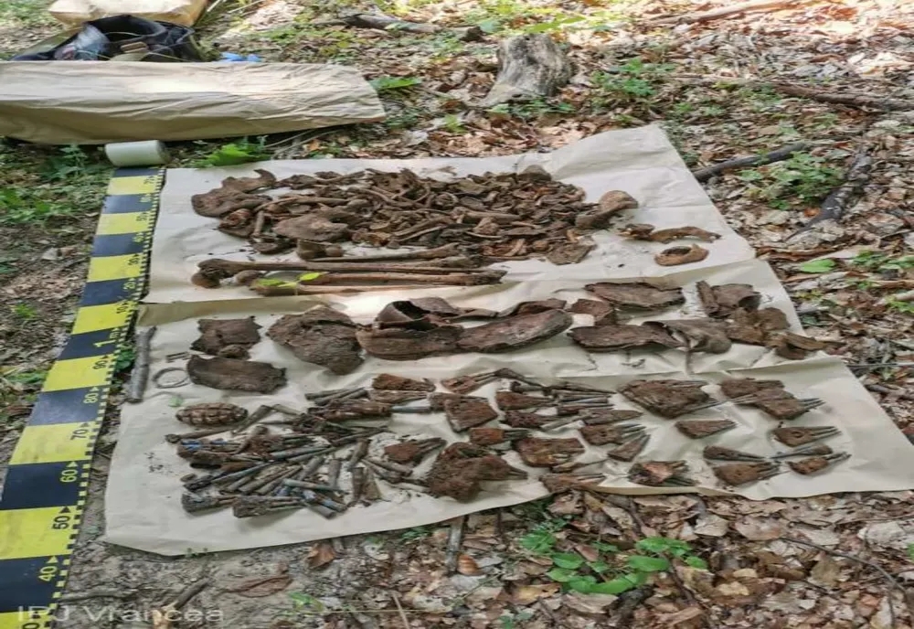 Oseminte şi muniţie ce par a fi vechi de 100 de ani, găsite pe raza localităţii Soveja