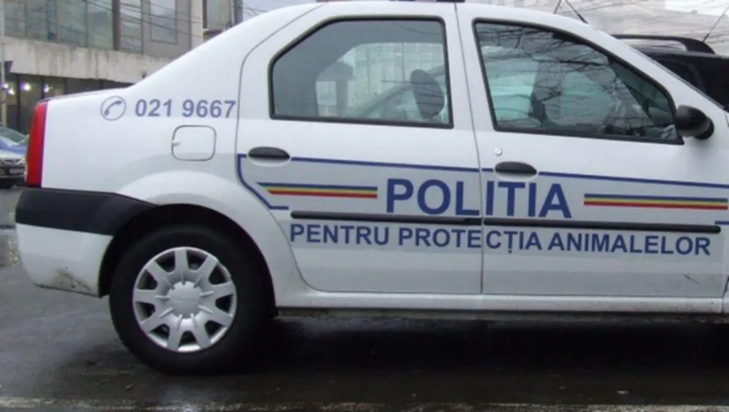 politia-animalelor
