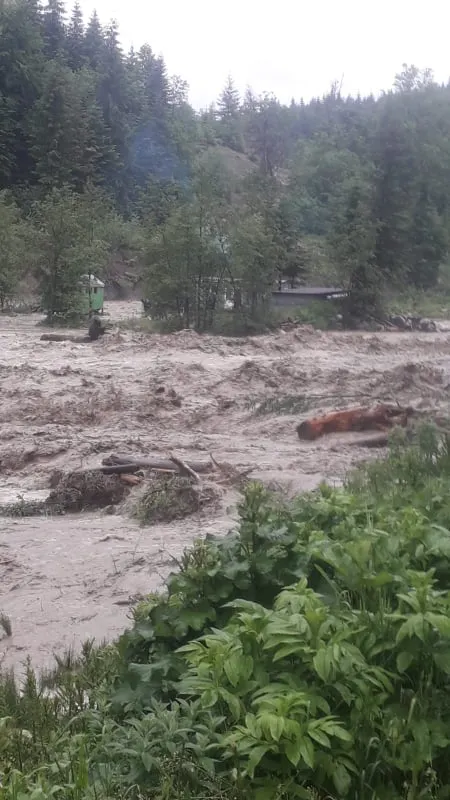nereju1