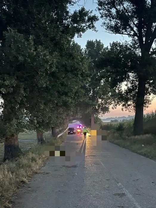 accident-7