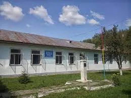scoala ion sarbu ciorasti