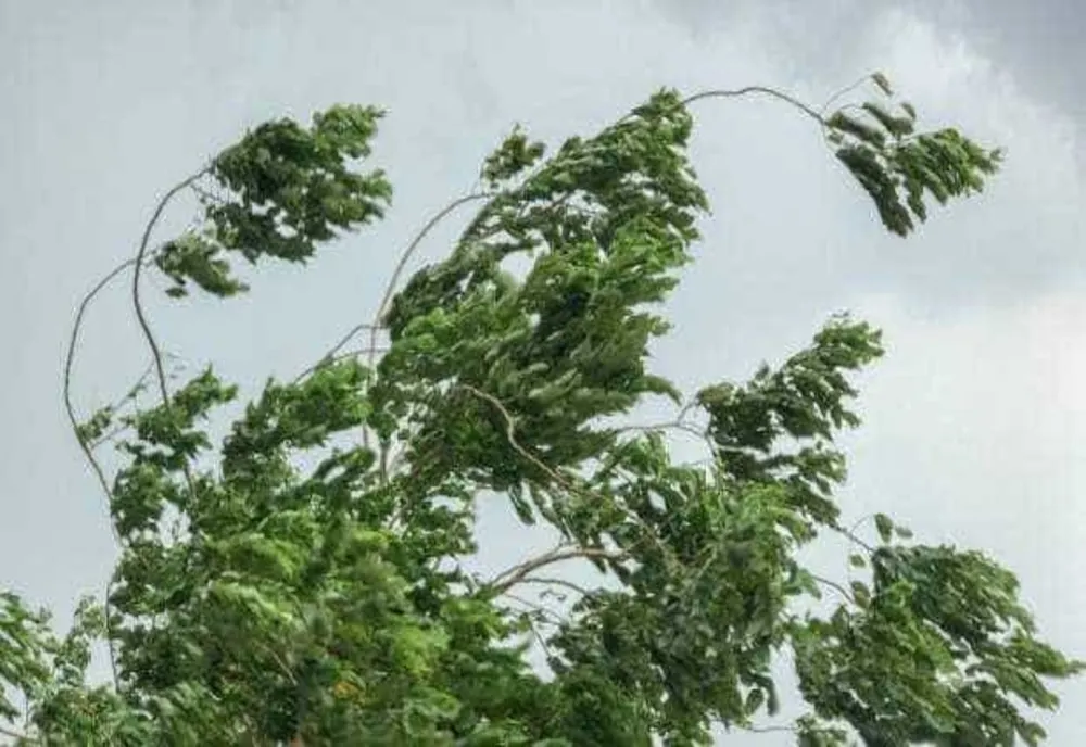 COD GALBEN DE FENOMENE METEO EXTREME: CEAȚĂ ȘI VÂNT PUTERNIC - RAFALE DE PÂNĂ LA 70 KM/H