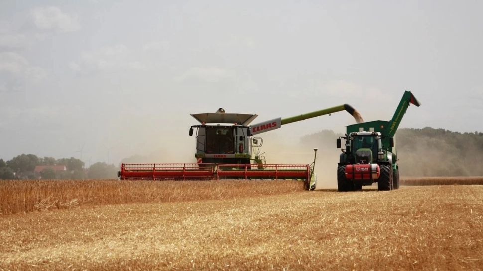  Fenomenul El Nino aduce un șoc economic