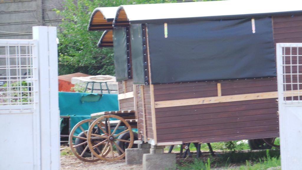 carute-vieneze-1-1024x576