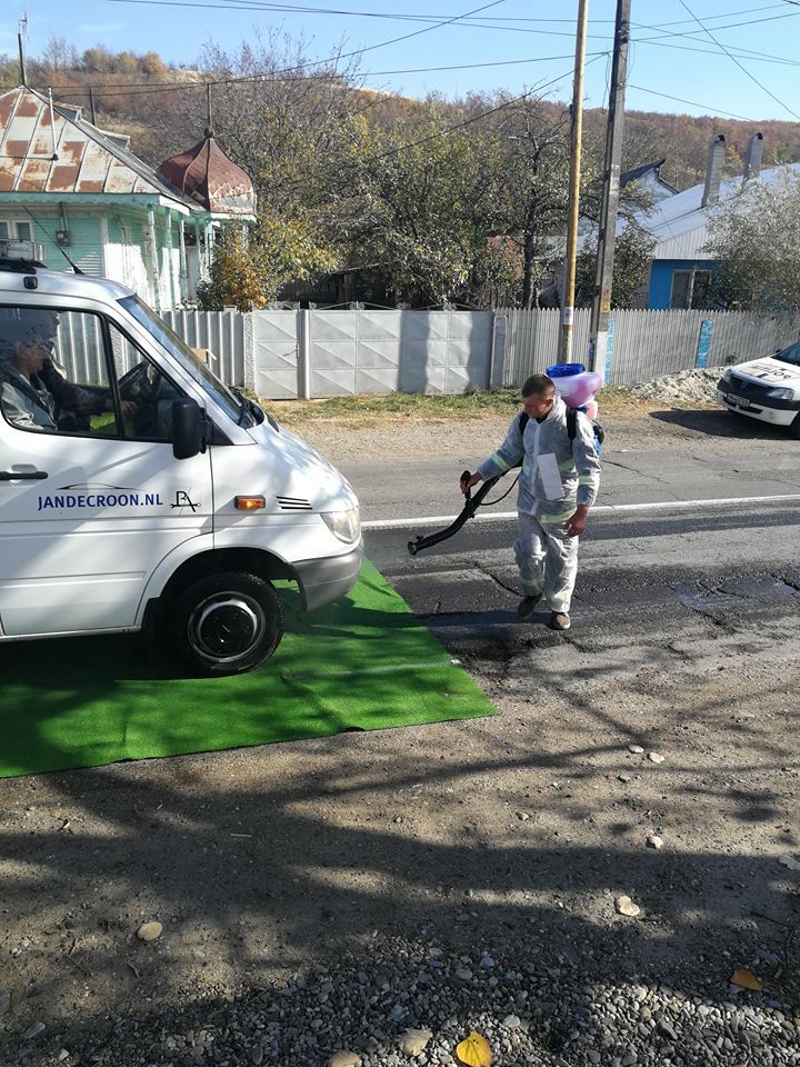 filtru pesta porcina 2