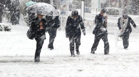 652x450_175533_ninsoare_70142100