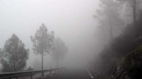 ceata_alba_si_laptoasa_poza_buna_82083900