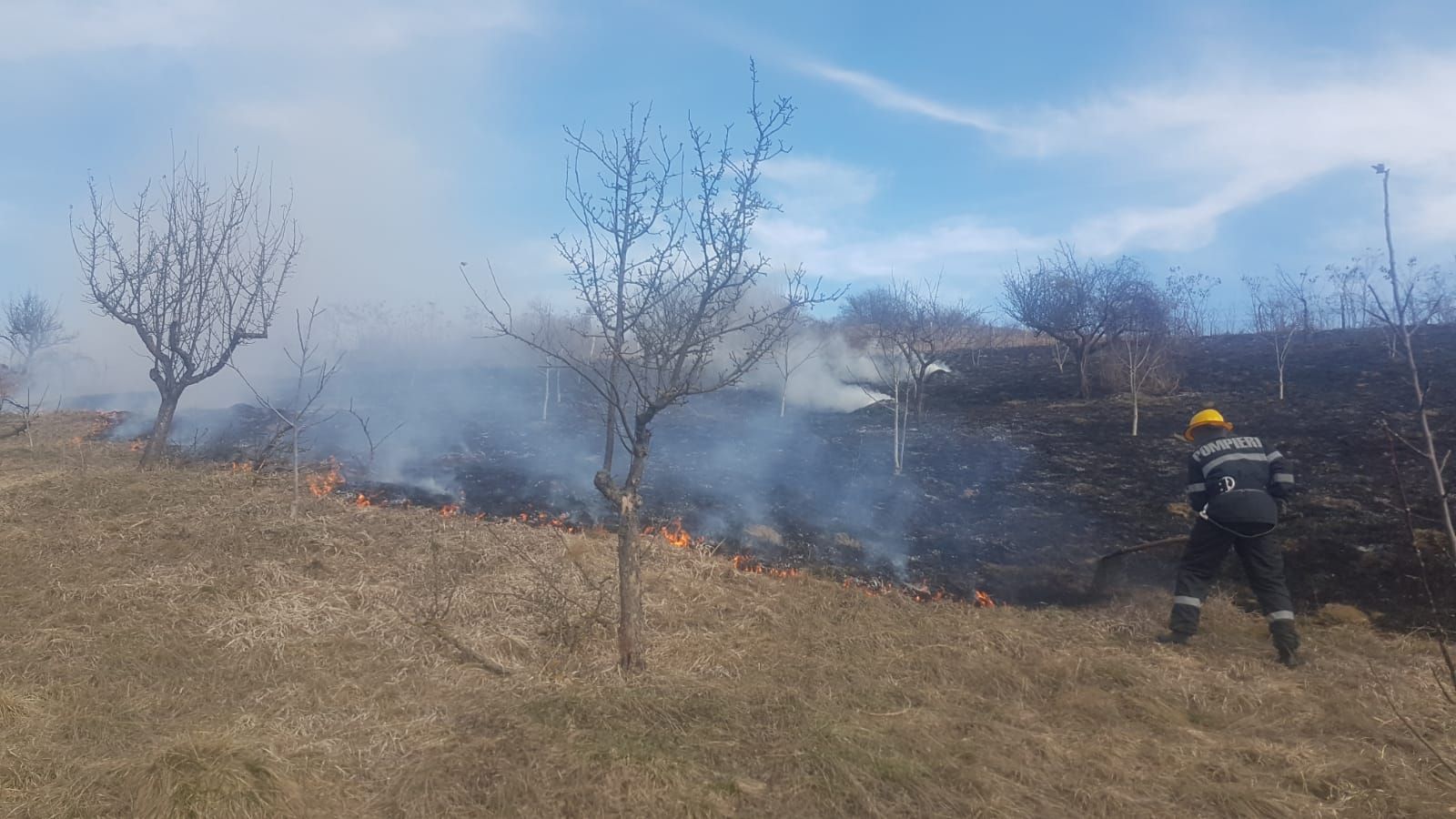 incendiu vegetatie 1