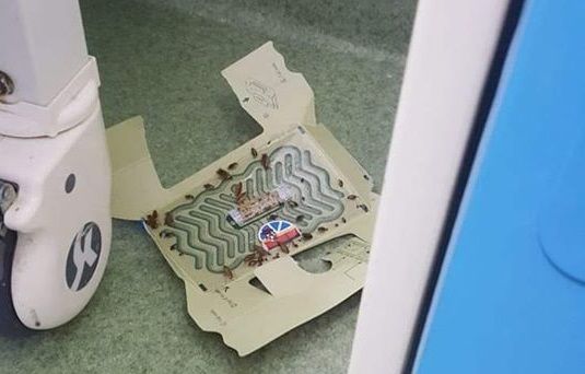 gandaci spital focsani