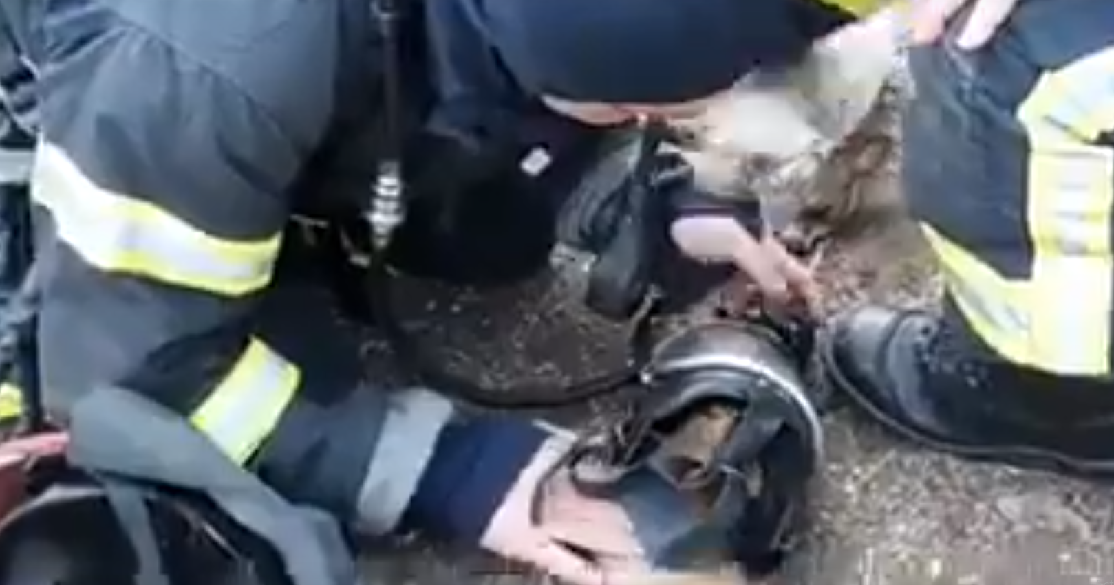 salvare isu odobesti