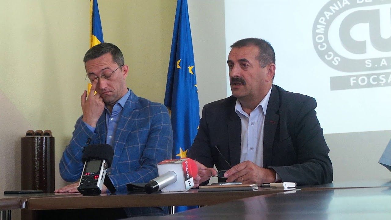 vasilescu si matisan