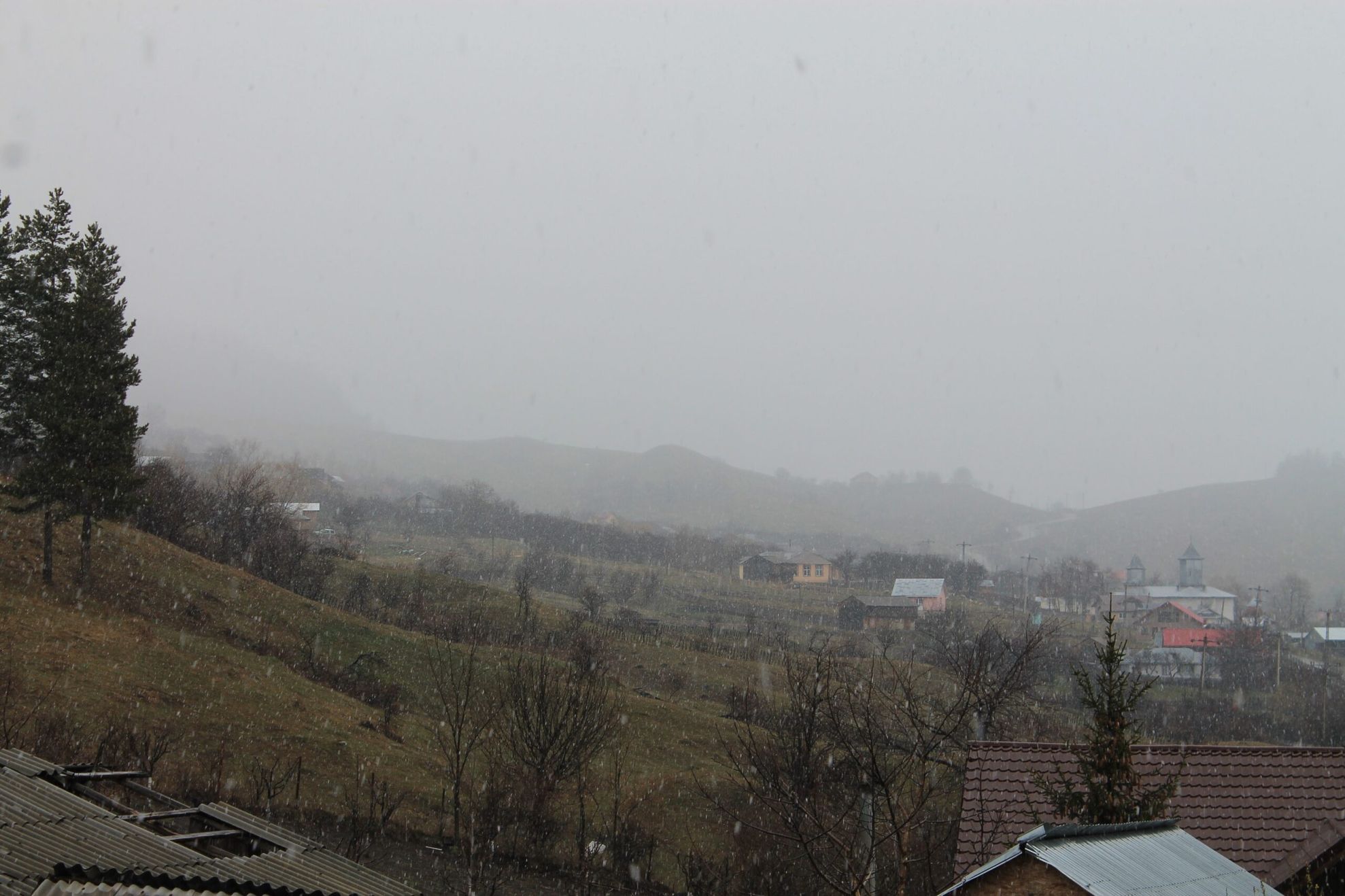 ninsoare Vintileasca