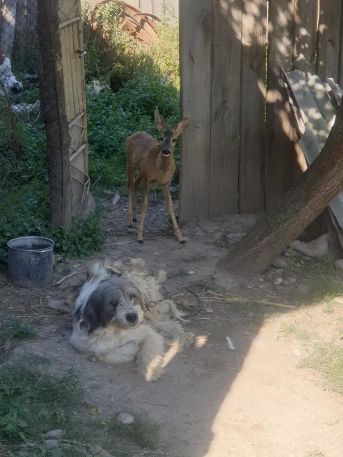 241215835_539493593940484_4650590033914569618_n