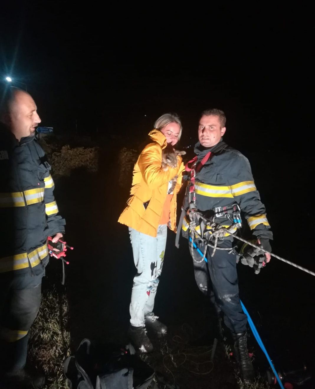 pisica-fantana-1-1068x1424