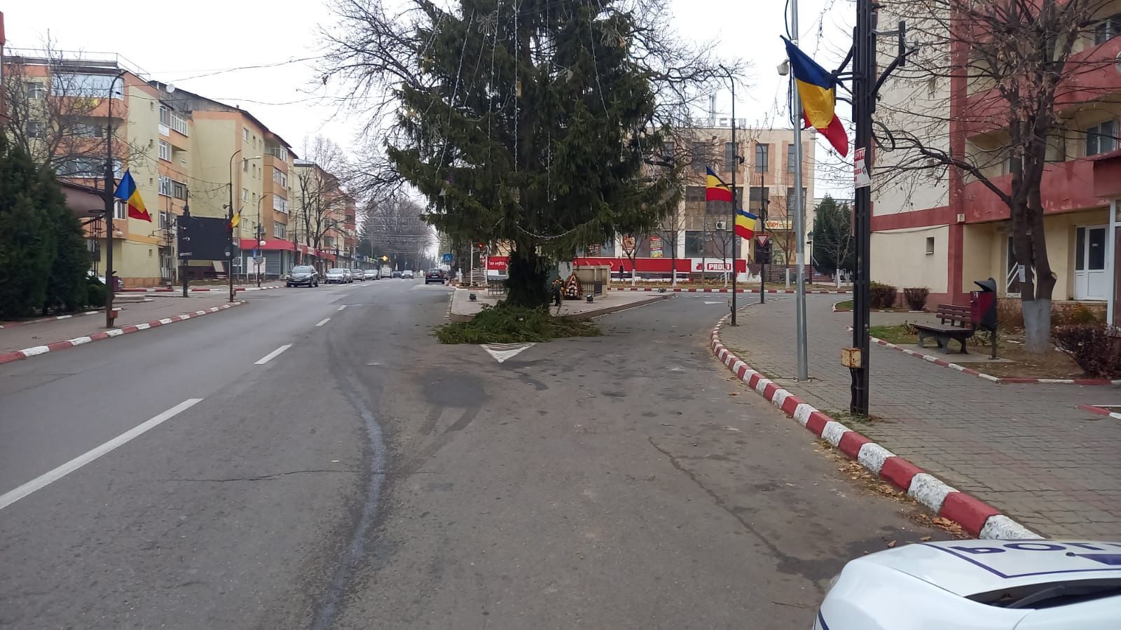 81dc17dc-9a6d-415c-8e71-10b0374db7a4