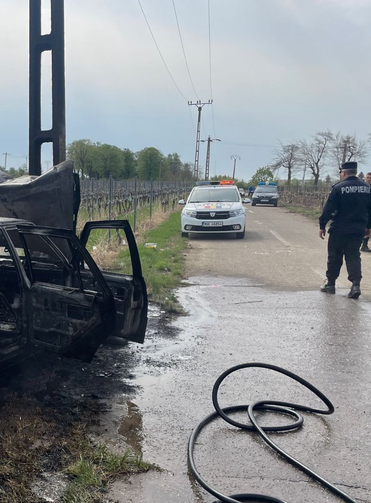 d71a6a9a-a7c8-44b9-a38a-58b864e12a9c