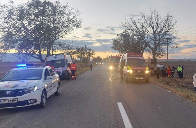 accident-masina-copac-741x486